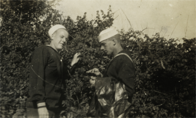 SC 181 crewmen picking blackberries