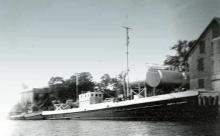Mary A. Edwards photo