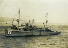 USS Lapwing, AM-1