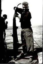 Hugh Campbell with shark caught off Land's End. Courtesy of Robert Held.